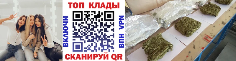 Купить закладку Березники Альфа ПВП Кокаин Меф мяу мяу Гашиш