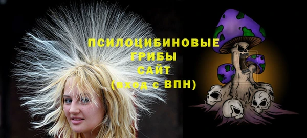 МДПВ Кулебаки
