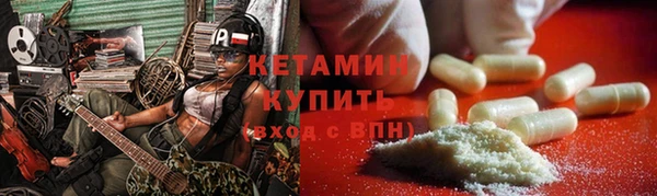 прущие грибы Переславль-Залесский