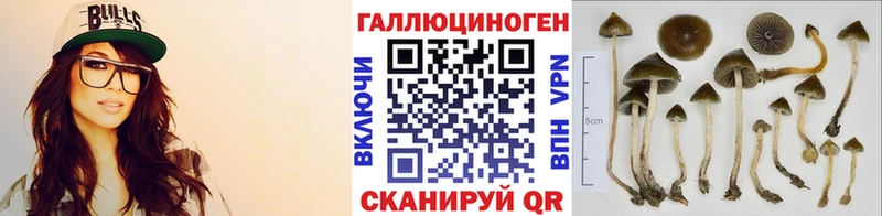 Галлюциногенные грибы мицелий Березники