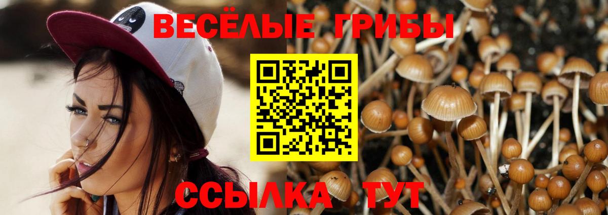 Галлюциногенные грибы ЛСД  Вход с VPN  Березники 